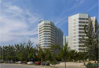 如何找到专业的汉语培训服务