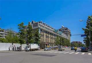 A级土豆粉全粉生产厂家